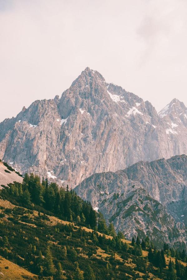 Haus Bergzauber Apartment Ramsau am Dachstein Ngoại thất bức ảnh
