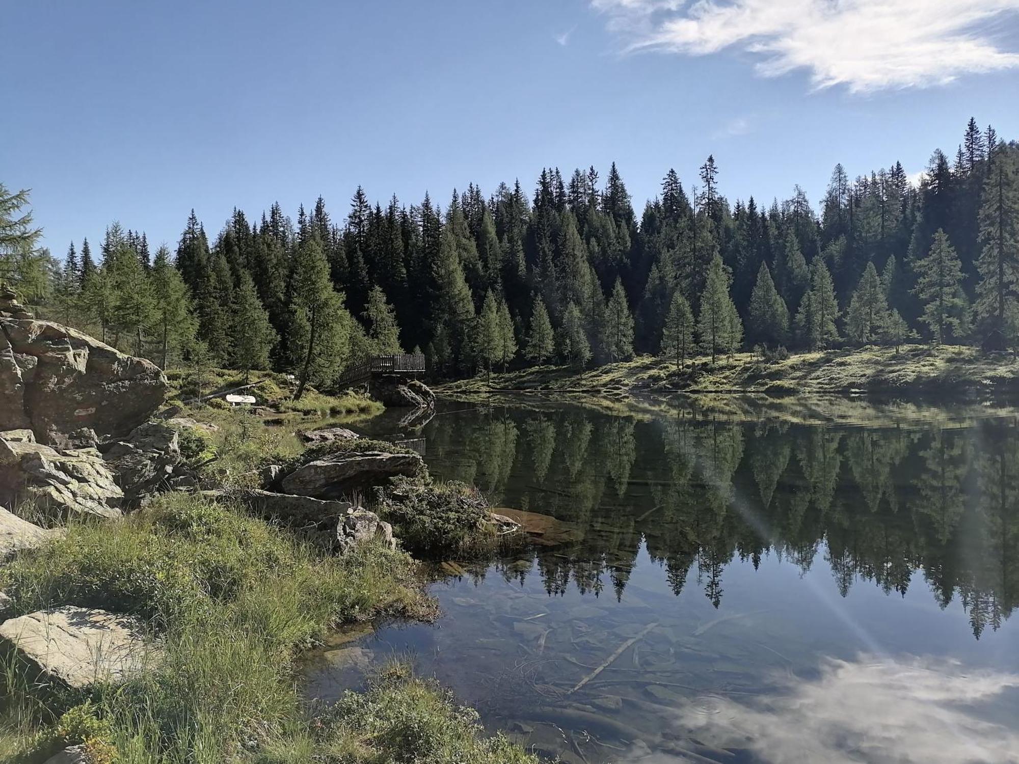 Haus Bergzauber Apartment Ramsau am Dachstein Phòng bức ảnh