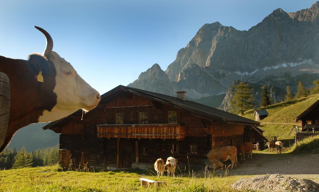 Haus Bergzauber Apartment Ramsau am Dachstein Ngoại thất bức ảnh