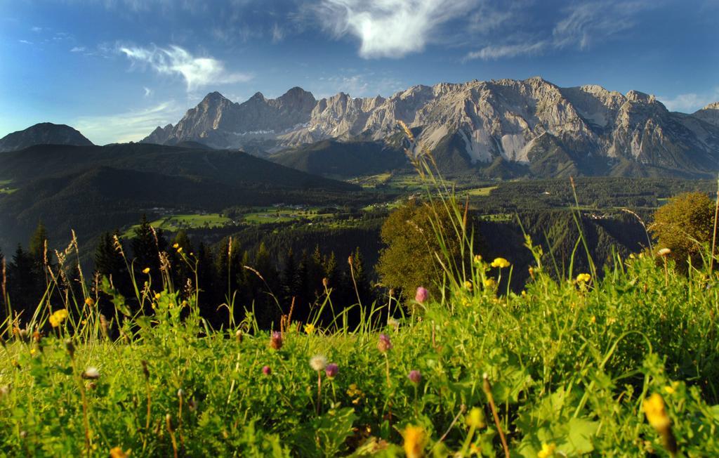 Haus Bergzauber Apartment Ramsau am Dachstein Ngoại thất bức ảnh