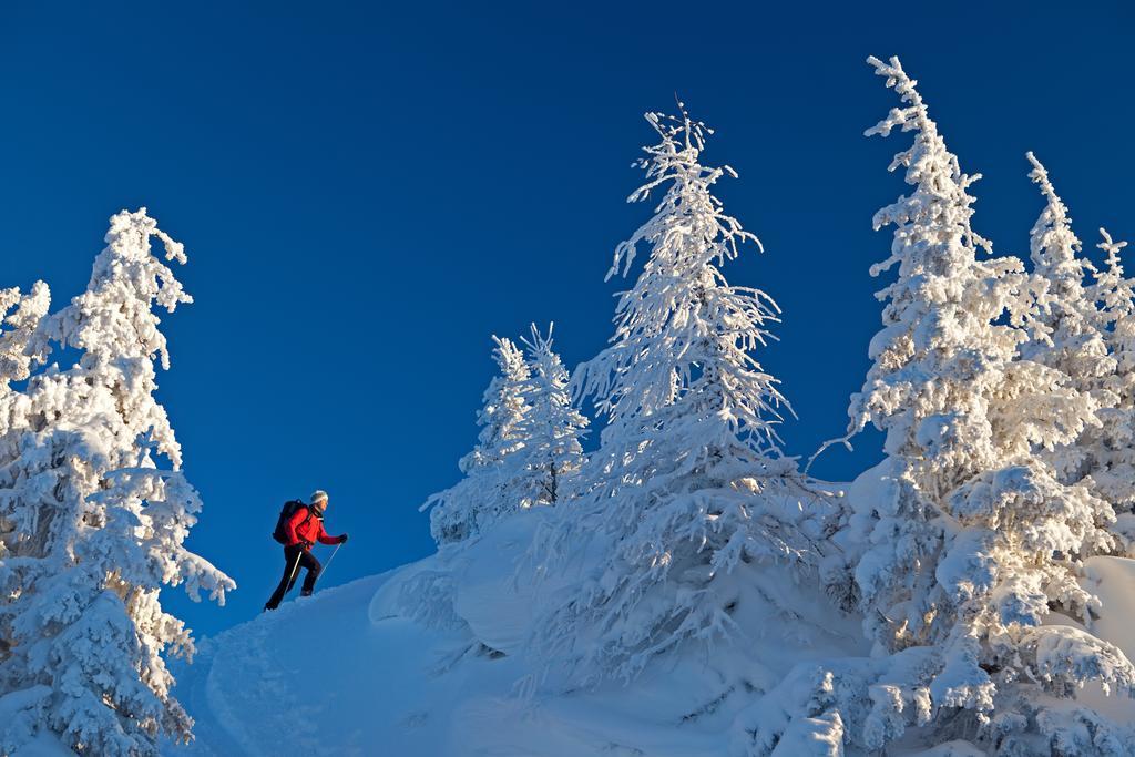 Haus Bergzauber Apartment Ramsau am Dachstein Ngoại thất bức ảnh